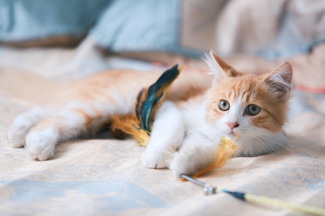 A serene image of a person gently petting a relaxed cat, symbolizing the calming and therapeutic effects of feline companionship.