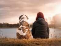 New research shows that having a dog or cat might protect memory and thinking skills as we age. Discover how pets support brain health.