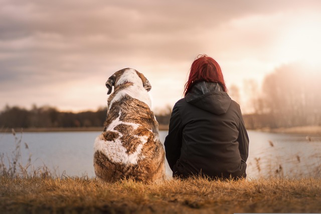 Can Pets Protect Your Brain? New Study Reveals Surprising Benefits of Owning a Dog or Cat