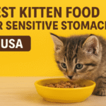 Discover the best kitten food for sensitive stomachs in the USA. Vet-approved tips, top brands, and feeding advice for healthy, happy kittens.