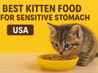 Discover the best kitten food for sensitive stomachs in the USA. Vet-approved tips, top brands, and feeding advice for healthy, happy kittens.